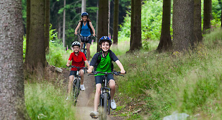 Radfahren im Bayerischen Wald